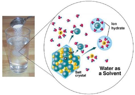 水化作用|科学网—金属离子在水溶液中的水化，水合与水解区别